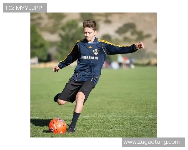 足球明星与动物的奇妙相似之处揭秘让你大开眼界的趣味观察