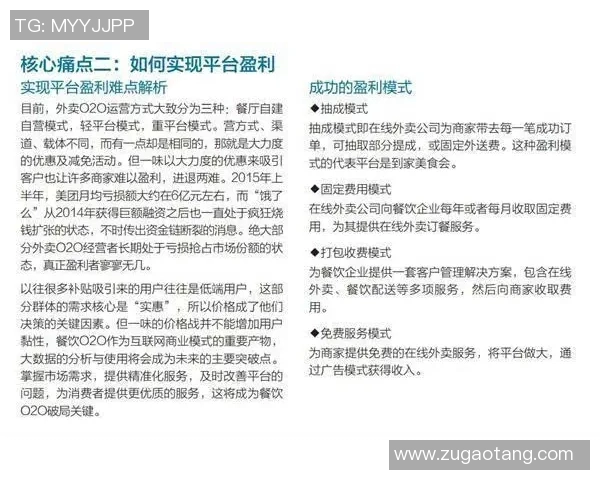 重庆排球队的阵地战策略解析与深度剖析排球竞技的魅力与挑战